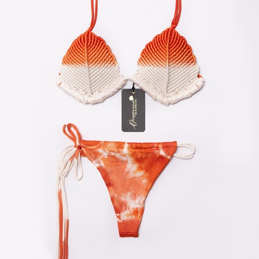 Shells orange